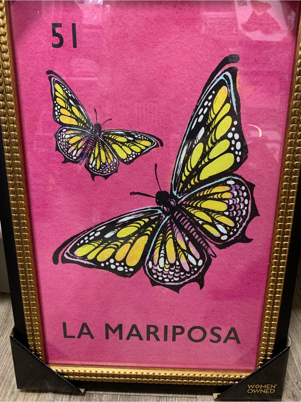 Sapna Shah La Mariposa Framed Butterfly Art - Pink & Yellow NEW